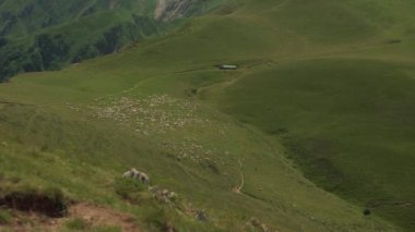 Pirenes dağlarında yürüyüş parkuru, İspanya. Yüksek kalite 4k görüntü