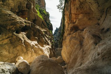 Sardinya 'daki Gola di Gorropu Boğazı - Gennargentu Ulusal Parkı, Nuoro ili. Yüksek kalite fotoğraf