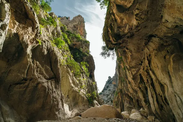Sardinya 'daki Gola di Gorropu Boğazı - Gennargentu Ulusal Parkı, Nuoro ili. Yüksek kalite fotoğraf