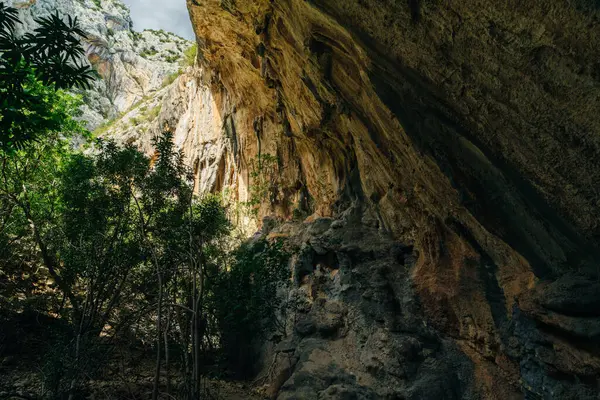 Sardinya 'daki Gola di Gorropu Boğazı - Gennargentu Ulusal Parkı, Nuoro ili. Yüksek kalite fotoğraf