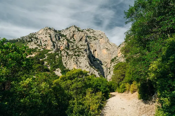 stock image Gola di Gorropu gorge in Sardinia - The Gennargentu National Park, Province of Nuoro. High quality photo