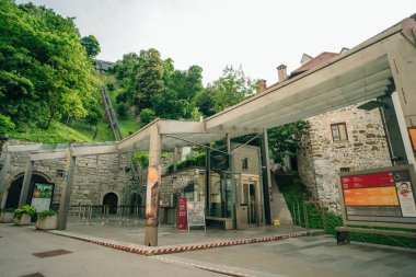 Postojna Mağara Parkı, Postojna, Slovenya 'nın güzel ve şaşırtıcı sarkıtları manzarası. Yüksek kalite fotoğraf