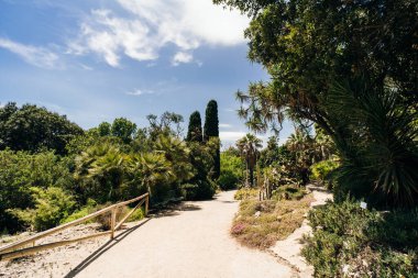 Cagliari Botanik Bahçesi. Sardunya, İtalya. Yüksek kalite fotoğraf
