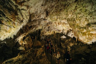 Postojna Mağara Parkı, Postojna, Slovenya 'nın güzel ve şaşırtıcı sarkıtları manzarası. Yüksek kalite fotoğraf