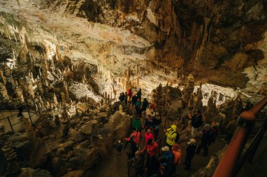 Postojna Mağara Parkı, Postojna, Slovenya 'nın güzel ve şaşırtıcı sarkıtları manzarası. Yüksek kalite fotoğraf