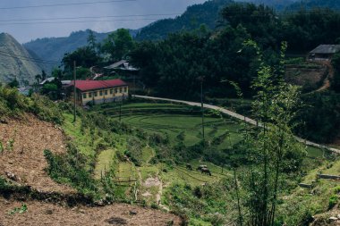 Ta Van 'da pirinç terasları, Muong Hoa Vadisi, Sa Pa, Vietnam. Yüksek kalite fotoğraf