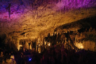 Postojna Mağara Parkı, Postojna, Slovenya 'nın güzel ve şaşırtıcı sarkıtları manzarası. Yüksek kalite fotoğraf