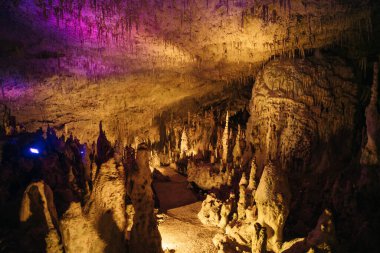 Postojna Mağara Parkı, Postojna, Slovenya 'nın güzel ve şaşırtıcı sarkıtları manzarası. Yüksek kalite fotoğraf