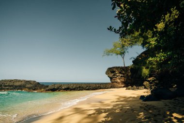 Arka planda kum ve palmiye ağaçları olan Kawela Körfezi Oahu Kuzey Sahili Plajı. Yüksek kalite fotoğraf