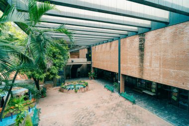 Smokin, Meksika - 2 Mayıs 2023 Museo de Paleontologia Müzesi. Yüksek kalite fotoğraf