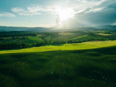 Güzel manzara, bahar doğası. Yazın kırsal alan. Gün ışığında güneşli tarlaların manzarası. Yüksek kalite fotoğraf