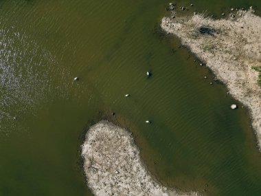 Valencia 'daki Marjal del Moro' nun hava manzarası. Yüksek kalite fotoğraf