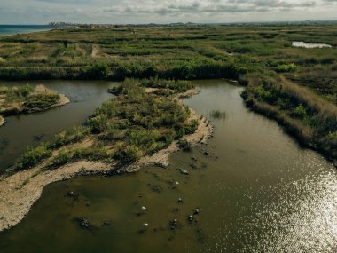 Aerial view of landscape of the Marjal del Moro, in Valencia. High quality photo clipart