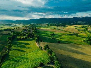Güzel manzara, bahar doğası. Yazın kırsal alan. Gün ışığında güneşli tarlaların manzarası. Yüksek kalite fotoğraf