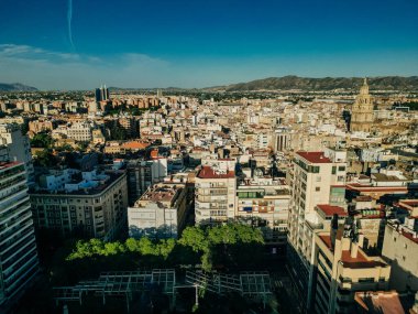 Murcia şehir merkezi ve Segura nehri havadan panoramik manzarası. Yüksek kalite fotoğraf