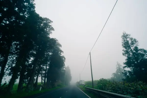 stock image Road in san miguel, Azores islands, Portugal. High quality photo