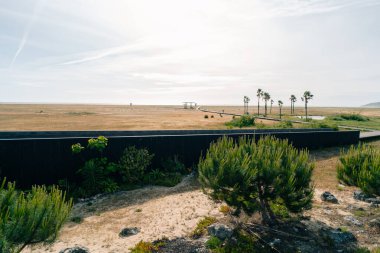 Figueira da Foz, Portekiz - 7 Temmuz 2024 Claridade Sahili ve Buarcos Oasis Figueira. Yüksek kalite fotoğraf