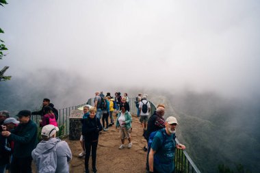 Panoramic views from Miradouro dos Balcoes viewpoint in Ribeiro Frio National park in Madeira, Portugal. High quality photo clipart