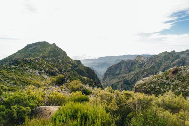 Madeira Pico Ruivo 'nun en yüksek zirvesi. Yüksek kalite fotoğraf