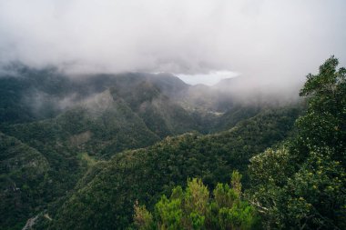 Portekiz, Madeira 'daki Ribeiro Frio Ulusal Parkı' ndaki Miradouro dos Balcoes 'un panoramik görüşü. Yüksek kalite fotoğraf