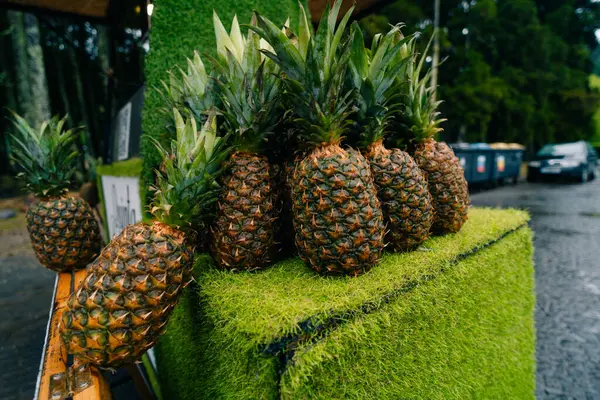 stock image Pineapples lined up ready to be sold, with a field of pineapples growing in the background. High quality photo