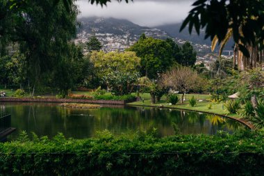 Portekiz, Madeira 'daki Ribeiro Frio Ulusal Parkı' ndaki Miradouro dos Balcoes 'un panoramik görüşü. Yüksek kalite fotoğraf