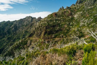 Madeira Pico Ruivo 'nun en yüksek zirvesi. Yüksek kalite fotoğraf