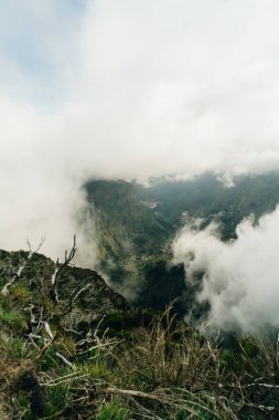 Levada do Norte, Madeira Adası, Portekiz 'de şelaleli sihirli sisli yeşil orman. PR17 Pinaculo ve Folhadal. Yüksek kalite fotoğraf