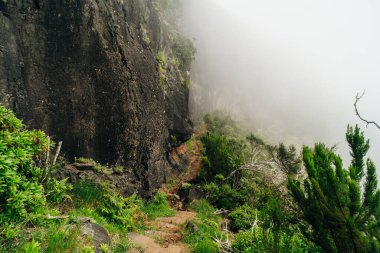 Levada do Norte, Madeira Adası, Portekiz 'de şelaleli sihirli sisli yeşil orman. PR17 Pinaculo ve Folhadal. Yüksek kalite fotoğraf
