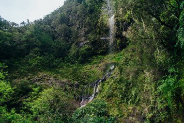 Levada das 25 Fontes, Madeira adasının turist ve yerlileri arasında en popüler yürüyüş yollarından biridir. Yüksek kalite fotoğraf