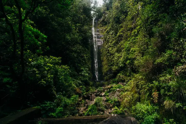 Levada das 25 Fontes, Madeira adasının turist ve yerlileri arasında en popüler yürüyüş yollarından biridir. Yüksek kalite fotoğraf