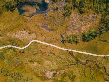 Dağlarda yeşil çayır. Altai, Sibirya, Rusya. Yüksek kalite fotoğraf
