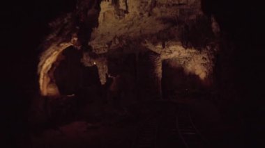 Postojna Mağara Parkı, Postojna, Slovenya - 2 Mayıs 2024. Yüksek kalite 4k görüntü
