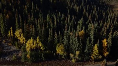Sonbaharda Savage River Canyon Ulusal Parkı manzaralı. Yüksek kalite 4k görüntü