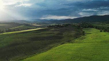 Gündoğumunda yeşil tepeleri ve tarım arazileri olan klasik Toskana manzarası. İtalya, Toskana 'daki yeşil yay tarlalarının ve tepelerin havadan görüntüsü. Yüksek kalite 4k görüntü