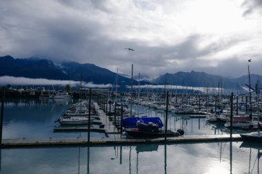 VALDEZ, ALASKA - Bölüm 27, 2024 Balıkçılık Limanı. Valdez çok önemli bir limandır, ABD 'nin en kuzeydeki limanıdır ve donmaz. Yüksek kalite fotoğraf