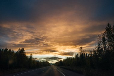 Soldotna, Alaska 'daki çam ağaçlarının arasında güzel bir günbatımı. Yüksek kalite fotoğraf