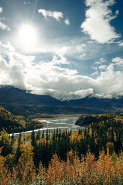 Alaska 'daki Denali Ulusal Parkı' ndaki renkli ağaçların ve kozalaklı ağaçların hava manzarası. Yüksek kalite fotoğraf