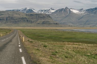 Icelandic landscape during a car trip. Road trip in Iceland. High quality photo clipart