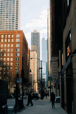 Chicago, Illinois Bulvarı, ABD - 2 Ekim 2024. Yüksek kalite fotoğraf