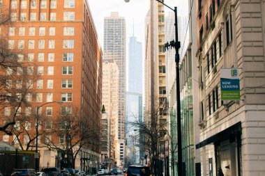 Chicago, Illinois Bulvarı, ABD - 2 Ekim 2024. Yüksek kalite fotoğraf