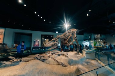 Chicago, OCT 4 2024 Saha Müzesi 'nin iç manzarası. Yüksek kalite fotoğraf