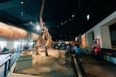 Chicago, OCT 4 2024 Saha Müzesi 'nin iç manzarası. Yüksek kalite fotoğraf