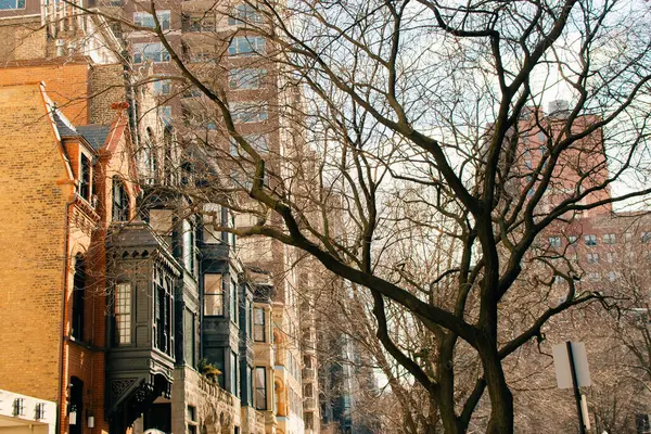 Chicago, Illinois Bulvarı, ABD - 2 Ekim 2024. Yüksek kalite fotoğraf