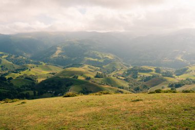 Katmanlı dağları, yeşil çayırları ve çiçekleri olan pireneler. Yüksek kalite fotoğraf