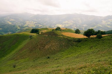 Green landscape in the pyrenees with layered mountains, green meadow and flowers. High quality photo clipart