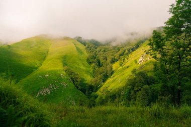 Fransa sınırındaki pireneler İspanya ve Fransa arasındaki geçitten geçtiler. Lescun Sirki. Yüksek kalite fotoğraf