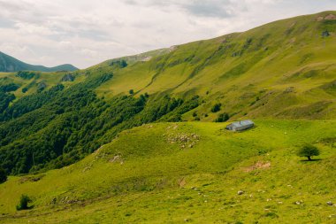 Orhi Dağı, Navarre ve Fransa arasında. Yüksek kalite fotoğraf