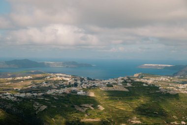 Santorini 'de gündoğumu kır çiçekleri. Yüksek kalite fotoğraf