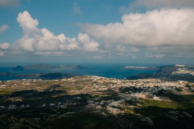 Santorini 'de gündoğumu kır çiçekleri. Yüksek kalite fotoğraf